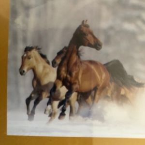 Meet your Posher, Joann